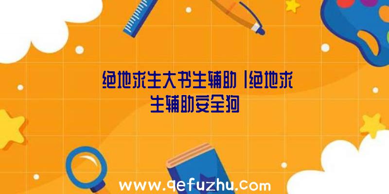 「绝地求生大书生辅助」|绝地求生辅助安全狗